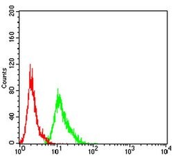 Invitrogen AEBP2 Monoclonal Antibody (2D7B6) 100 &mu;L; Unconjugated:Antibodies,
