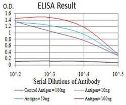 Invitrogen AEBP2 Monoclonal Antibody (3E3C10) 100 &mu;L; Unconjugated:Antibodies,