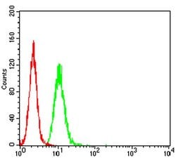 Invitrogen AFAP1L2 Monoclonal Antibody (2H6D1) 100 &mu;L; Unconjugated:Antibodies,