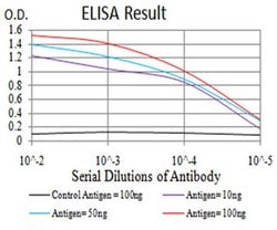 Invitrogen ALDH6A1 Monoclonal Antibody (6H9B8) 100 &mu;L; Unconjugated:Antibodies,