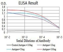 Invitrogen alpha Amylase 1 Monoclonal Antibody (5G6F7) 100 &mu;L; Unconjugated:Antibodies,