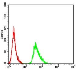 Invitrogen alpha Amylase 1 Monoclonal Antibody (5G6F7) 100 &mu;L; Unconjugated:Antibodies,