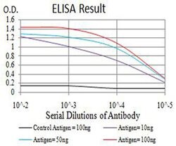 Invitrogen alpha Amylase 1 Monoclonal Antibody (1G4D8) 100 &mu;L; Unconjugated:Antibodies,