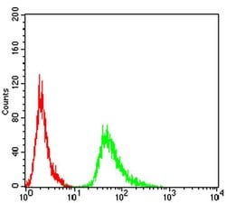 Invitrogen alpha Amylase 1 Monoclonal Antibody (1G4D8) 100 &mu;L; Unconjugated:Antibodies,