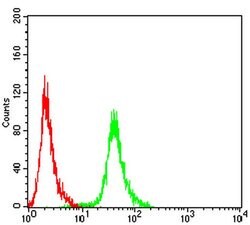 Invitrogen APC1 Monoclonal Antibody (7G9C7) 100 &mu;L; Unconjugated:Antibodies,