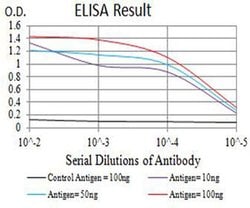 Invitrogen APC1 Monoclonal Antibody (7G9B3) 100 &mu;L; Unconjugated:Antibodies,
