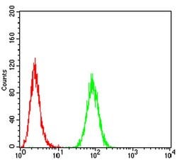 Invitrogen APC1 Monoclonal Antibody (7G9B3) 100 &mu;L; Unconjugated:Antibodies,