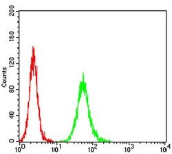 Invitrogen APC10 Monoclonal Antibody (8F1D10) 100 &mu;L; Unconjugated:Antibodies,