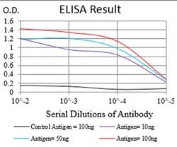 Invitrogen RIAM Monoclonal Antibody (7E7D12) 100 &mu;L; Unconjugated:Antibodies,