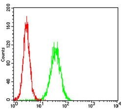 Invitrogen RIAM Monoclonal Antibody (7E7D12) 100 &mu;L; Unconjugated:Antibodies,