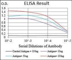 Invitrogen RIAM Monoclonal Antibody (7E7A3) 100 &mu;L; Unconjugated:Antibodies,