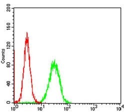Invitrogen RIAM Monoclonal Antibody (7E7A3) 100 &mu;L; Unconjugated:Antibodies,