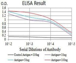 Invitrogen Aquaporin 2 Monoclonal Antibody (5B6B12) 100 &mu;L; Unconjugated:Antibodies,