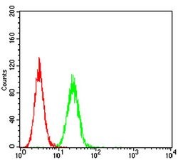 Invitrogen ASF1A Monoclonal Antibody (2A5F8) 100 &mu;L; Unconjugated:Antibodies,