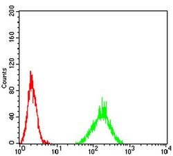 Invitrogen ATF3 Monoclonal Antibody (5A9B9) 100 &mu;L; Unconjugated:Antibodies,