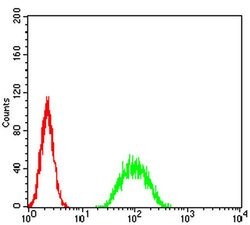 Invitrogen ATF3 Monoclonal Antibody (7F1B10) 100 &mu;L | Buy Online | Invitrogen&trade; | Fisher Scientific
