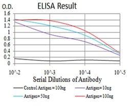 Invitrogen ATG13 Monoclonal Antibody (3E4C8) 100 &mu;L; Unconjugated:Antibodies,