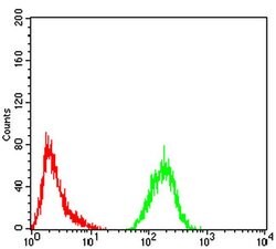 Invitrogen ATG13 Monoclonal Antibody (3E4C8) 100 &mu;L; Unconjugated:Antibodies,