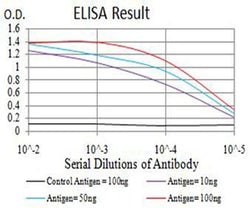 Invitrogen ATG2A Monoclonal Antibody (4H8G3) 100 &mu;L; Unconjugated:Antibodies,