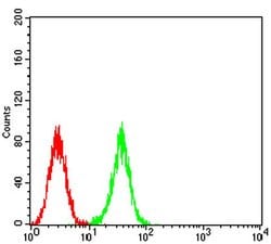Invitrogen ATG2A Monoclonal Antibody (4H8G3) 100 &mu;L; Unconjugated:Antibodies,