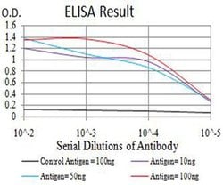 Invitrogen ATG2A Monoclonal Antibody (4E6D4) 100 &mu;L; Unconjugated:Antibodies,
