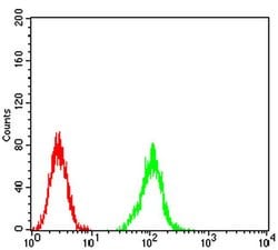 Invitrogen ATG2A Monoclonal Antibody (4E6D4) 100 &mu;L; Unconjugated:Antibodies,