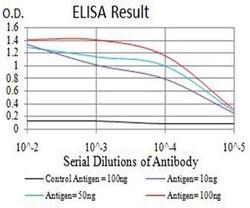 Invitrogen ATL1 Monoclonal Antibody (1F6B12) 100 &mu;L; Unconjugated:Antibodies,