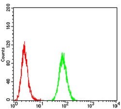 Invitrogen ATPIF1 Monoclonal Antibody (1F3B8) 100 &mu;L | Buy Online | Invitrogen&trade; | Fisher Scientific