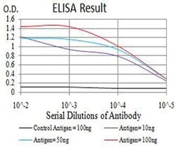 Invitrogen BCL11B Monoclonal Antibody (1F8G8) 100 &mu;L; Unconjugated:Antibodies,