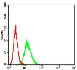 Invitrogen BCL11B Monoclonal Antibody (1F8G8) 100 &mu;L; Unconjugated:Antibodies,