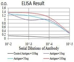 Invitrogen Bcl-B Monoclonal Antibody (8A11G12) 100 &mu;L; Unconjugated:Antibodies,