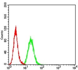 Invitrogen Bcl-B Monoclonal Antibody (8A11G12) 100 &mu;L; Unconjugated:Antibodies,