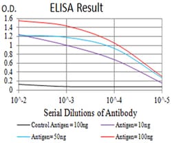 Invitrogen BCL9L Monoclonal Antibody (1C9G2) 100 &mu;L; Unconjugated:Antibodies,