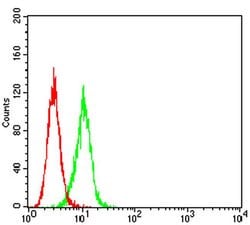Invitrogen BCL9L Monoclonal Antibody (1C9G2) 100 &mu;L; Unconjugated:Antibodies,