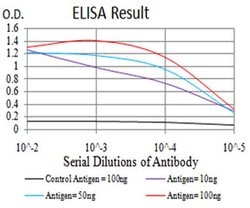 Invitrogen BIN1 Monoclonal Antibody (3B6A4) 100 &mu;L; Unconjugated:Antibodies,