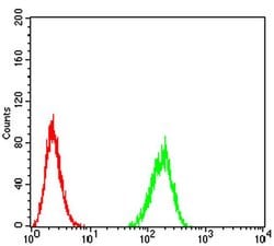Invitrogen BIN1 Monoclonal Antibody (3B6F10) 100 &mu;L; Unconjugated:Antibodies,