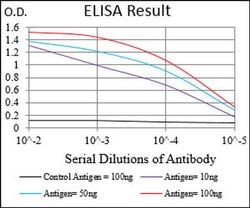 Invitrogen Splunc2 Monoclonal Antibody (3F8E4) 100 &mu;L; Unconjugated:Antibodies,