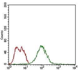Invitrogen Splunc2 Monoclonal Antibody (3F8E4) 100 &mu;L; Unconjugated:Antibodies,