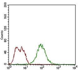 Invitrogen Splunc2 Monoclonal Antibody (2B4F5) 100 &mu;L; Unconjugated:Antibodies,