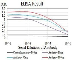 Invitrogen BRD2 Monoclonal Antibody (1H6B12) 100 &mu;L; Unconjugated:Antibodies,