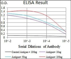 Invitrogen C17orf53 Monoclonal Antibody (5F3H1) 100 &mu;L; Unconjugated:Antibodies,