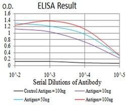 Invitrogen C1QA Monoclonal Antibody (8B5B1) 100 &mu;L; Unconjugated:Antibodies,