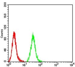Invitrogen C1QA Monoclonal Antibody (8B5B1) 100 &mu;L; Unconjugated:Antibodies,