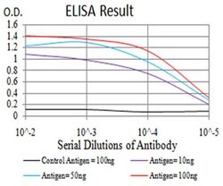 Invitrogen C1QA Monoclonal Antibody (1C7G3) 100 &mu;L; Unconjugated:Antibodies,
