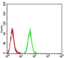 Invitrogen C1QA Monoclonal Antibody (1C7G3) 100 &mu;L; Unconjugated:Antibodies,