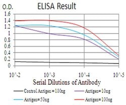 Invitrogen CBX4 Monoclonal Antibody (6C5G3) 100 &mu;L; Unconjugated:Antibodies,