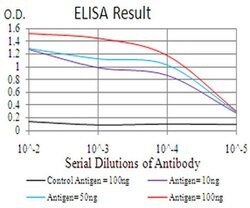 Invitrogen CBX6 Monoclonal Antibody (8D10A3) 100 &mu;L; Unconjugated:Antibodies,