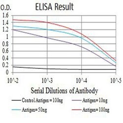 Invitrogen CCR1 Monoclonal Antibody (8E10G6) 100 &mu;L; Unconjugated:Antibodies,