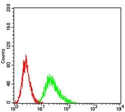Invitrogen CCR1 Monoclonal Antibody (8E10G6) 100 &mu;L; Unconjugated:Antibodies,