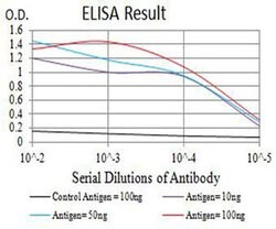 Invitrogen BCMA Monoclonal Antibody (1D12G9) 100 &mu;L; Unconjugated:Antibodies,